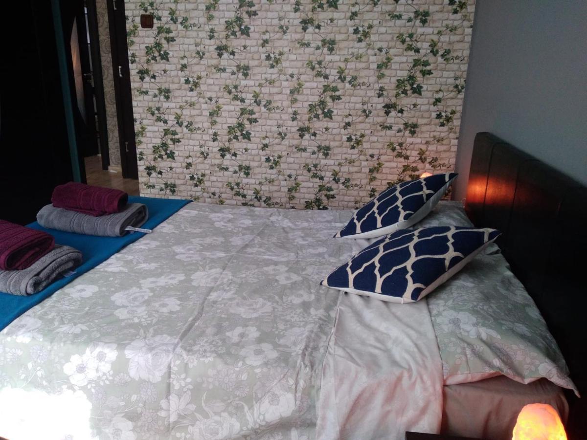 White House Guest House Hunedoara Bagian luar foto